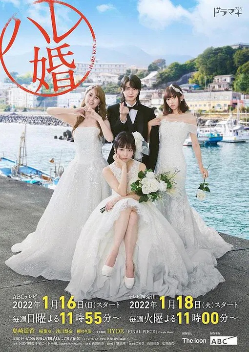 【日本剧】后宫婚